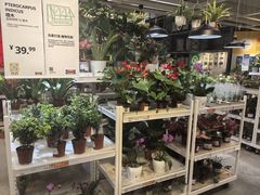 -宜家家居(西安未央商场店)