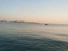 -青岛海滨风景区