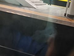 -商丘站