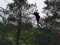 -梦幻奥陶纪景区