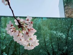 -龙美术馆(西岸馆)