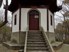 -上海佘山国家森林公园天马山园