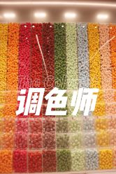 -THE COLORIST调色师