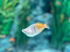 -上海海洋水族馆