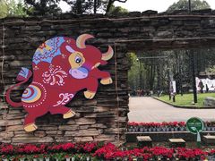 -温江公园