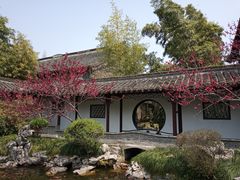 -梅园