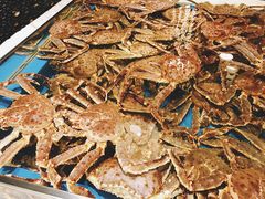 -蟹将军·松叶蟹和牛日料放题自助(K11店)