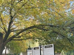 -元大都城垣遗址公园