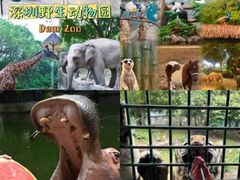 -深圳野生动物园