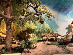 -重庆中国三峡博物馆(重庆博物馆)