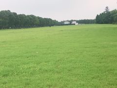 -漕湖湿地公园