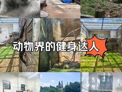 -青岛动物园