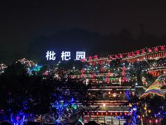 -枇杷园食为鲜火锅(南山店)