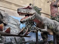 -国家自然博物馆