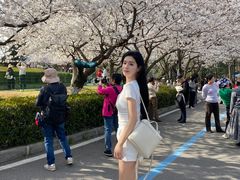 -武汉大学-樱园