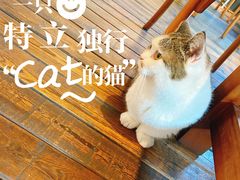 -IFIF 如果花園(宽厚里店)