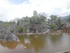 -千岛湖石林