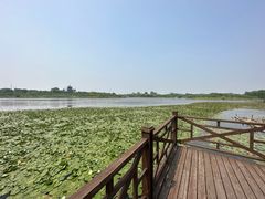 -上海海湾国家森林公园