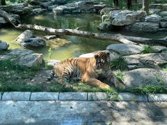 -北京野生动物园