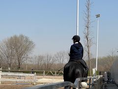 -北京群众马术培训基地