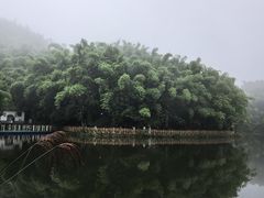 -沐川竹海旅游景区
