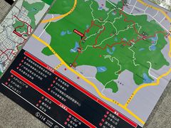 -火炉山森林公园