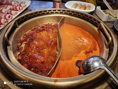 -小龙坎老火锅(北京三里屯店)