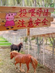 -优沃得自然教育农场·冰雪乐园·生日会·研学