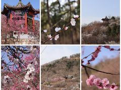 -北京西山国家森林公园