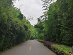-九龙潭景区