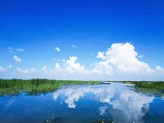 -白渔泡湿地公园