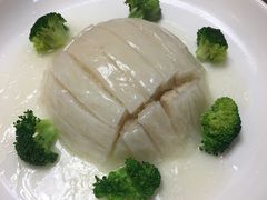 -丁老爷子苏香圆