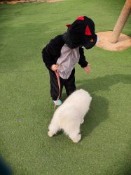 -萌宠亲子动物乐园(槐房万达店)