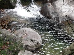 -宁波五龙潭景区