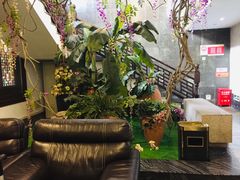 -碧丽宫大酒店(召稼楼店)