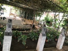 景点-陆地游轮吉林神农温泉