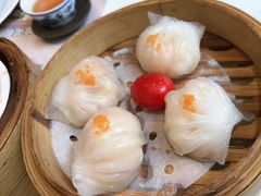 -有心德(麦地店)