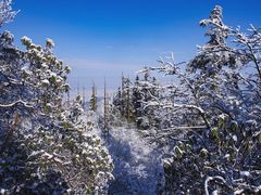 -瓦屋山景区