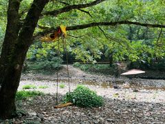 -水墨汀溪风景区