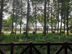 -太阳岛度假酒店