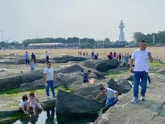 -巧克力渔家.小船海鲜胶东菜(万平口店)