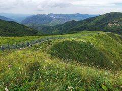 -灵山