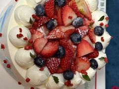 -维尔纳斯·生日蛋糕动物奶油冰淇淋蛋糕(人大店)