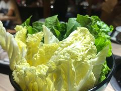 -探窝·竹笙椰子鸡(杨箕店)