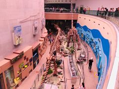 -陕西自然博物馆