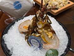 -东海怡品海鲜豆捞(舟宿夜江店)