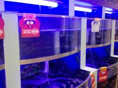 -七欣天(浦东羽山乐坊店)