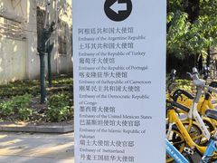 -三里屯东五街银杏大道