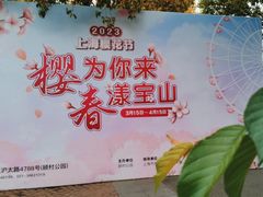 -顾村公园