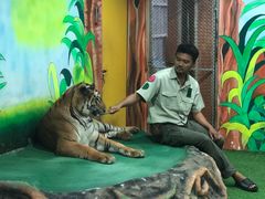 -清迈夜间动物园